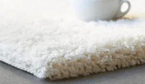 Commercial Rug Cleaning